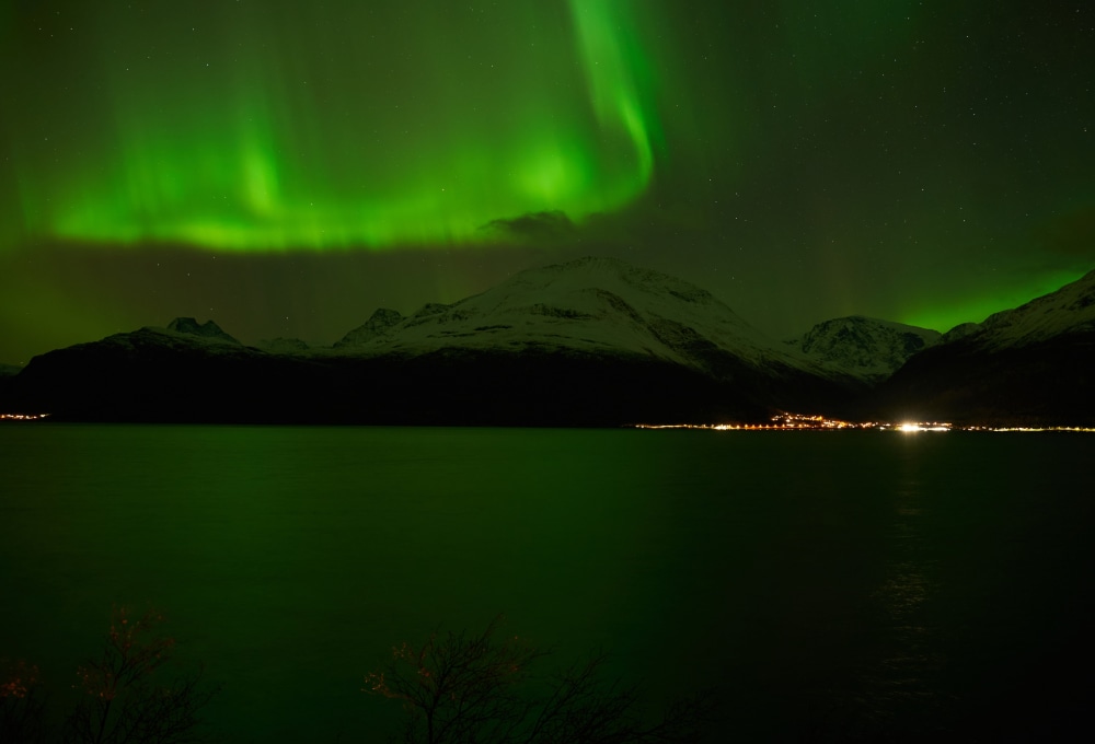 Rückkehr aus der Wildnis